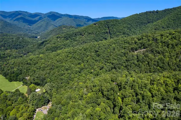 OFF Little East Fork Road #L-1, Canton, NC 28716