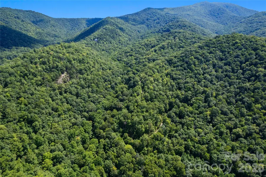 OFF Little East Fork Road #L-1, Canton, NC 28716 - #3