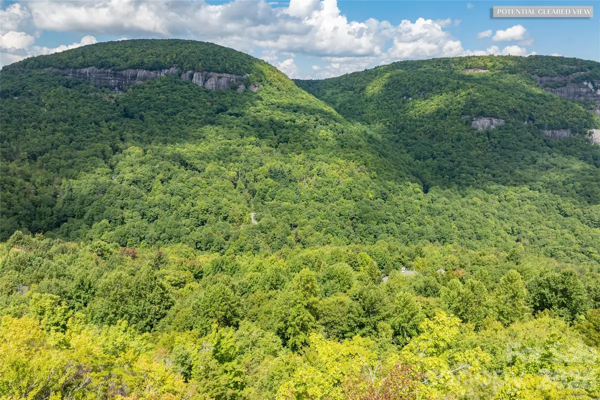 916 Meadow Ridge Drive, Lake Toxaway, NC 28747 - #1