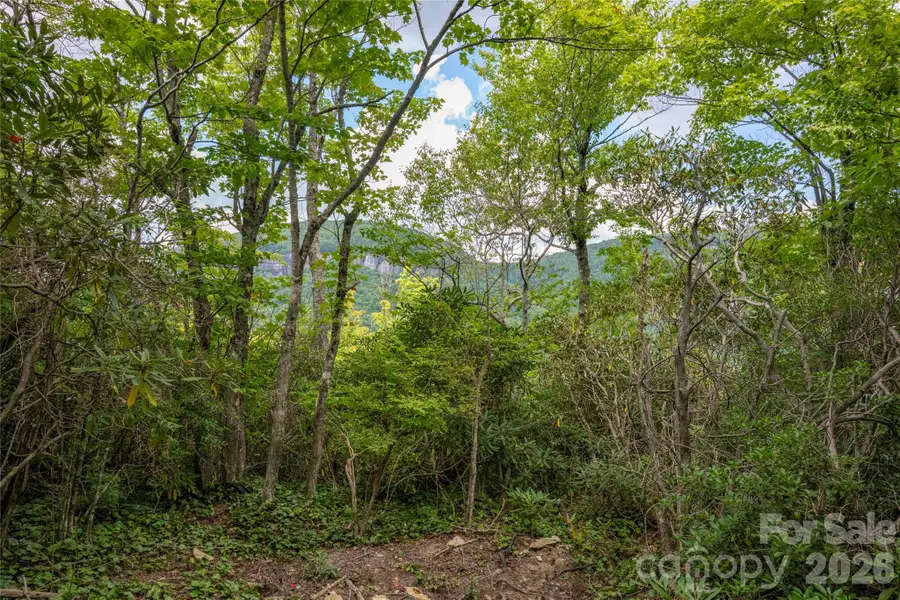 916 Meadow Ridge Drive, Lake Toxaway, NC 28747 - #3