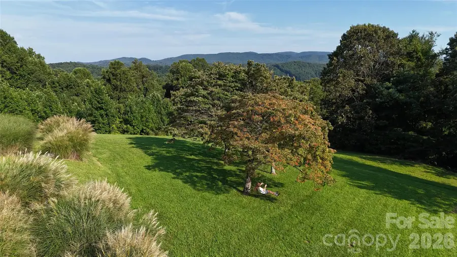 93 Orchard Hill, Saluda, NC 28773 - #3