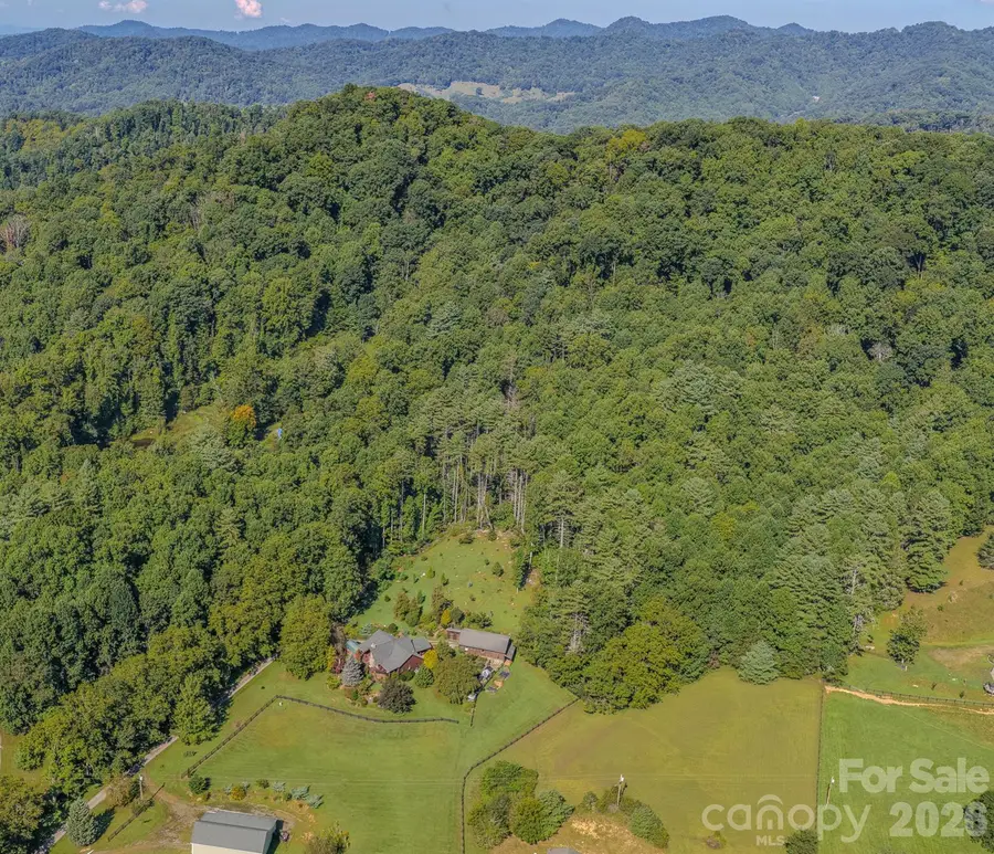 99999 Crooked Creek Road, Mars Hill, NC 28754 - #2