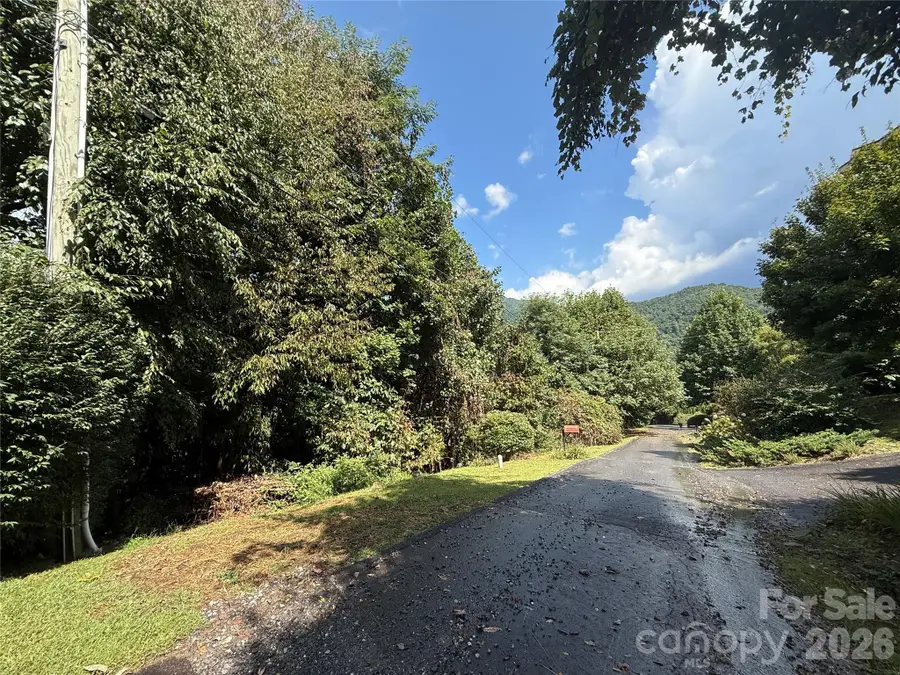 10 Lewis Lane #10, Maggie Valley, NC 28751 - #2
