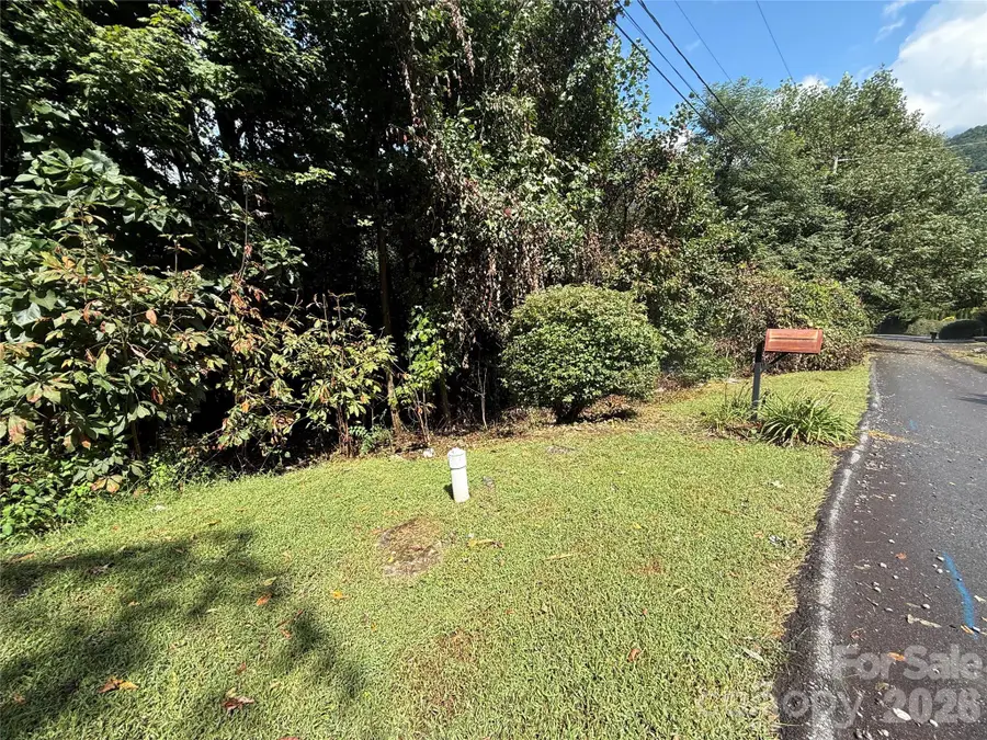 10 Lewis Lane #10, Maggie Valley, NC 28751 - #3