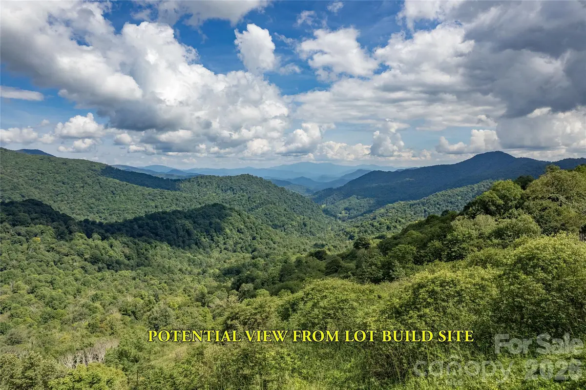 98 Goldenleaf Road, Mars Hill, NC 28754 - #1