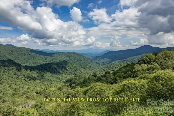 98 Goldenleaf Road, Mars Hill, NC 28754