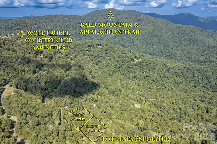 98 Goldenleaf Road, Mars Hill, NC 28754 - #3