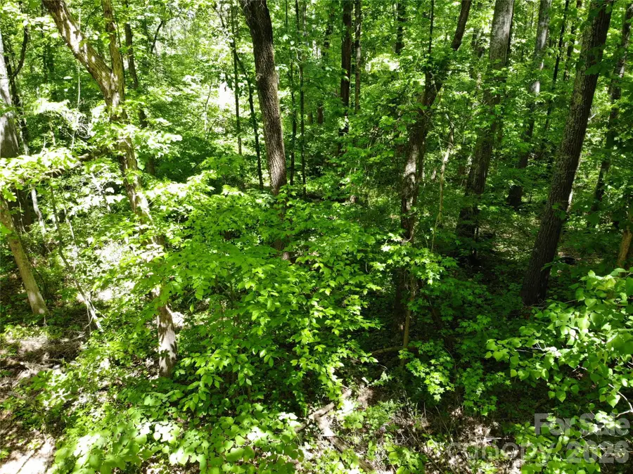 #168 Rolling Road, Lincolnton, NC 28092 - #2