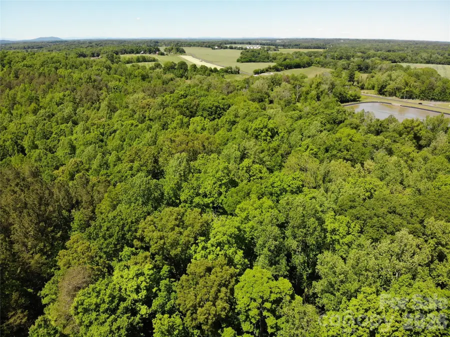 #168 Rolling Road, Lincolnton, NC 28092 - #3