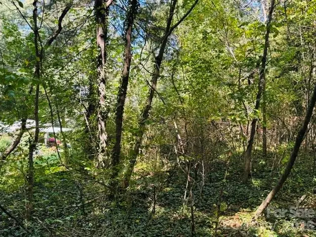 TBD Hi Alta Avenue, Asheville, NC 28806 - #2