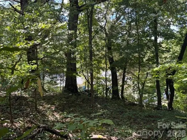 TBD Hi Alta Avenue, Asheville, NC 28806 - #3