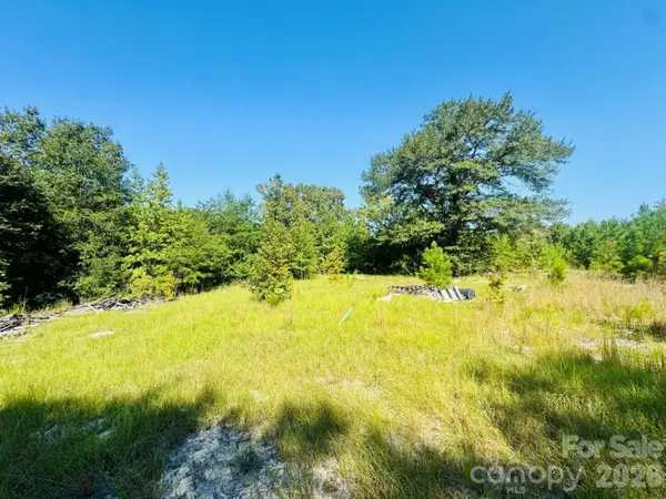 499 Mac Jowers Lane, Jefferson, SC 29718