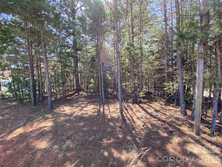 Next to 1670 Buck Oak Road, Lincolnton, NC 28092 - #3