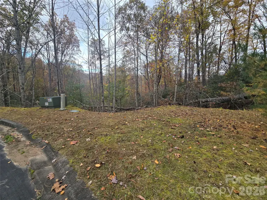 0 Shining Rock Path #17R, Mills River, NC 28742 - #2