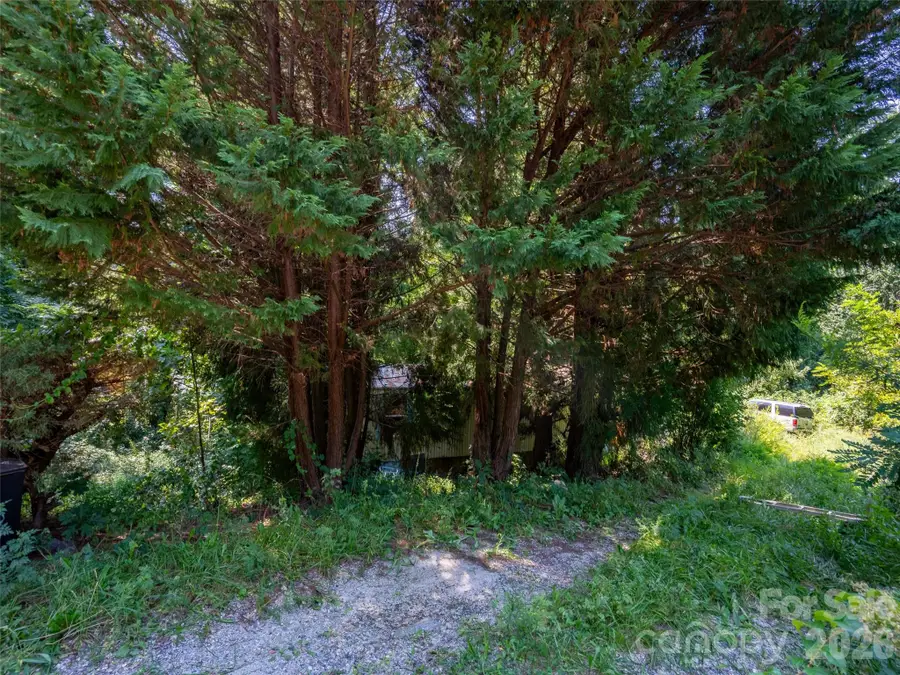154 Pacolet Street, Saluda, NC 28773 - #3