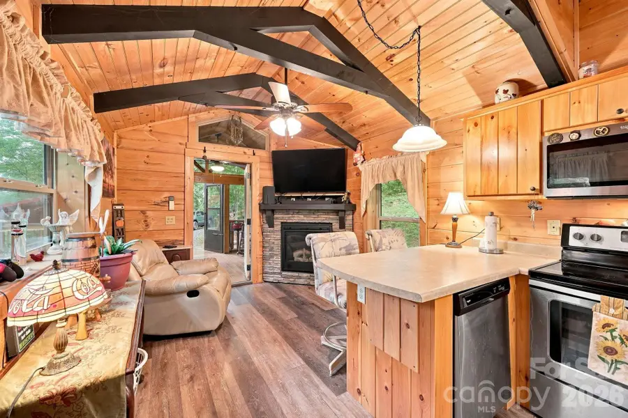 9 Candyland Court, Candler, NC 28715 - #2