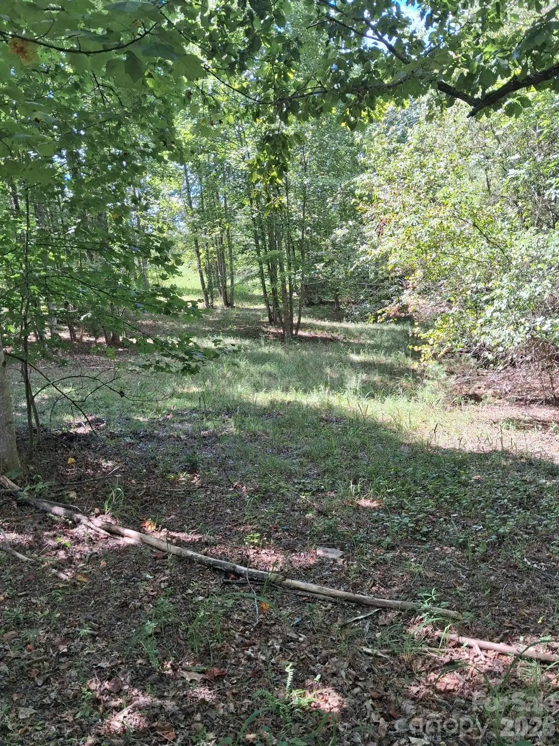 00 London Road, Lawndale, NC 28090 - #1