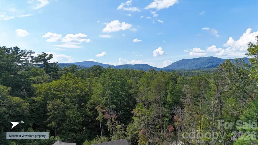 61 Crossings Circle #23, Fairview, NC 28730 - #3