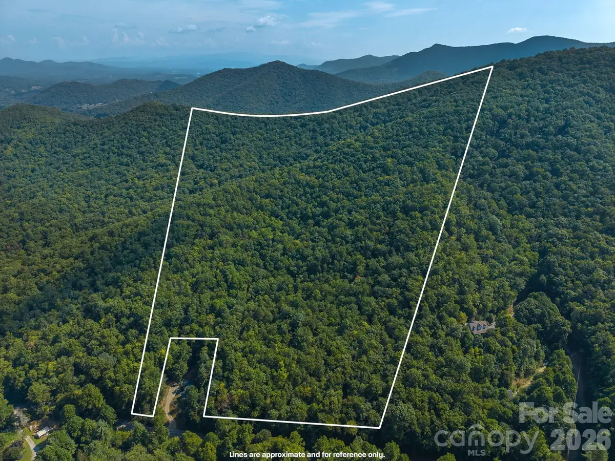 99999 Saw Branch Road, Candler, NC 28715 - #1