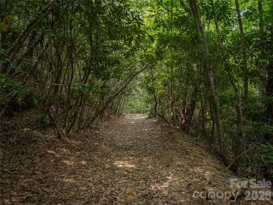99999 Saw Branch Road, Candler, NC 28715 - #3