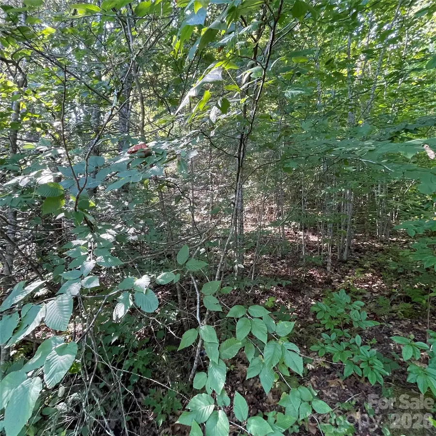 Cedar Creek 0 Road, Lake Lure, NC 28746 - #3