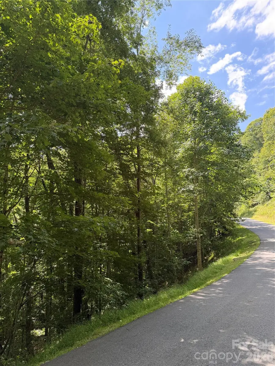 00 Chestnut Village Lane, Mars Hill, NC 28754 - #2
