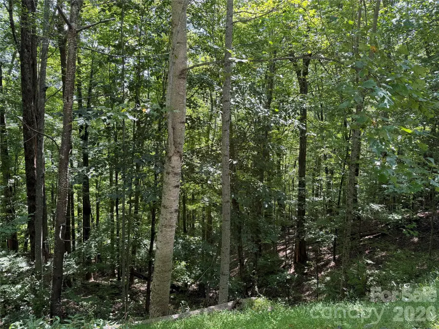 00 Chestnut Village Lane, Mars Hill, NC 28754 - #3