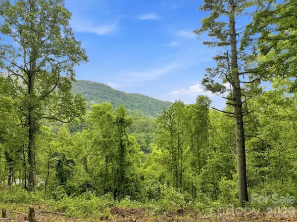 193 Fern Cove Lane, Gerton, NC 28735