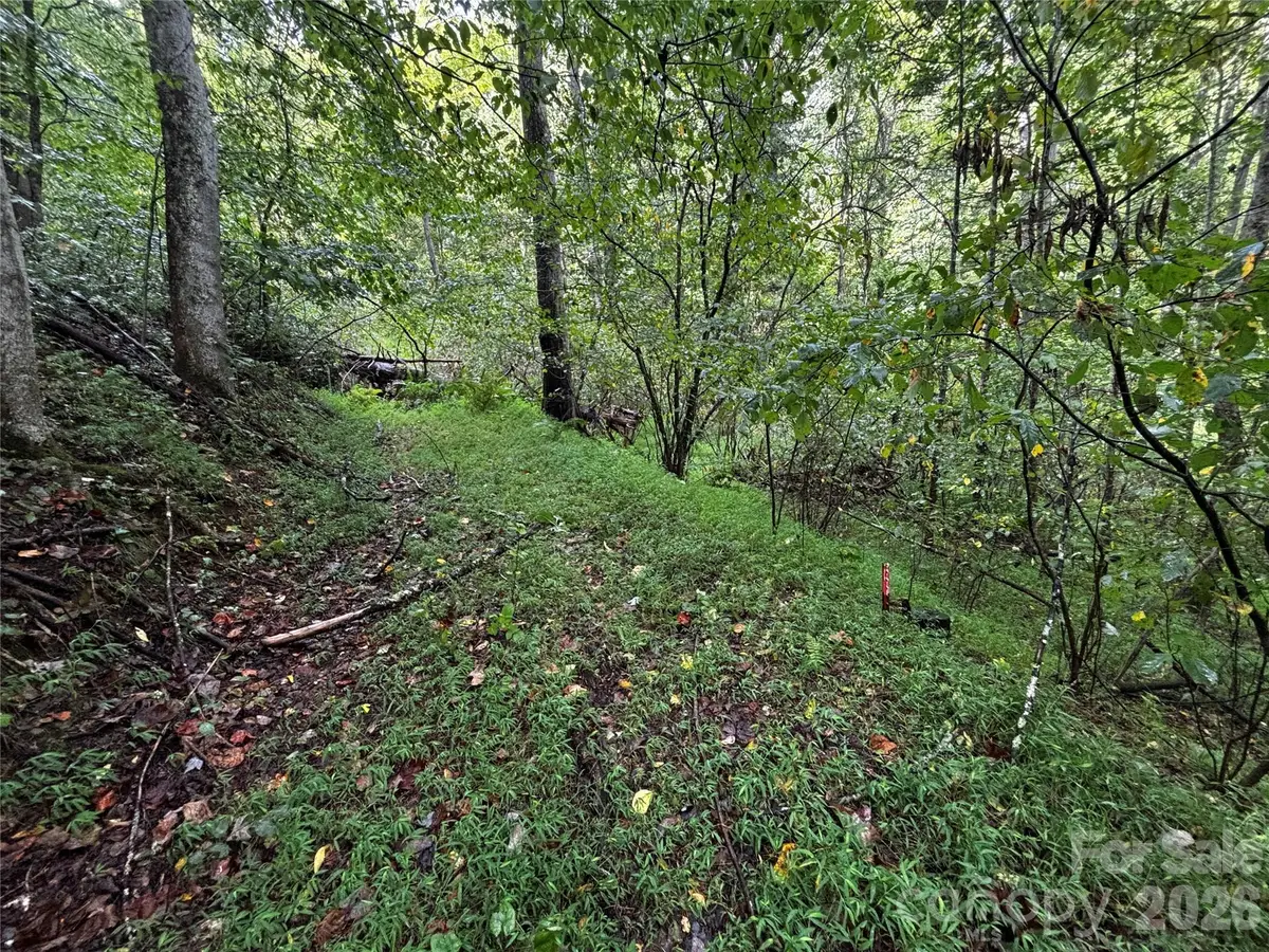 TBD Big Pine Road, Marshall, NC 28753 - #1