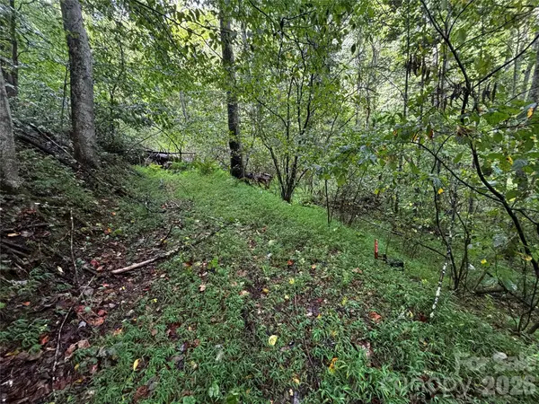 TBD Big Pine Road, Marshall, NC 28753
