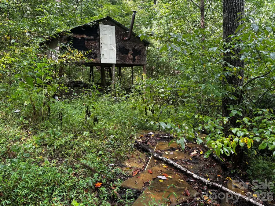 TBD Big Pine Road, Marshall, NC 28753 - #2