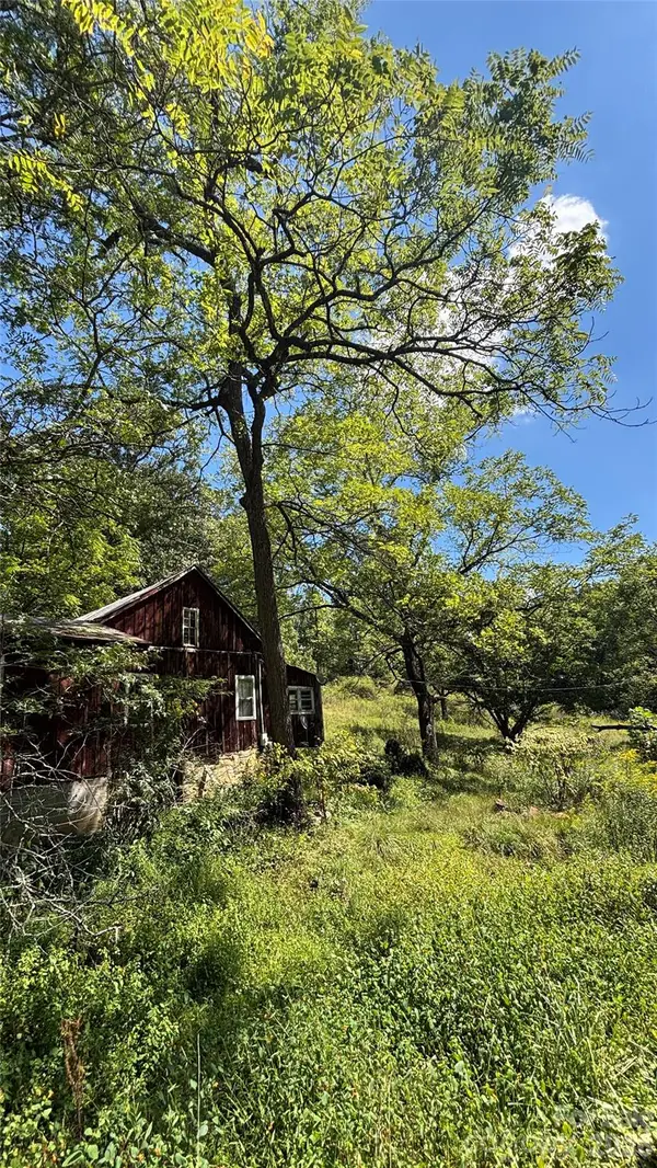 188 Velvis Hollifield Road, Spruce Pine, NC 28777