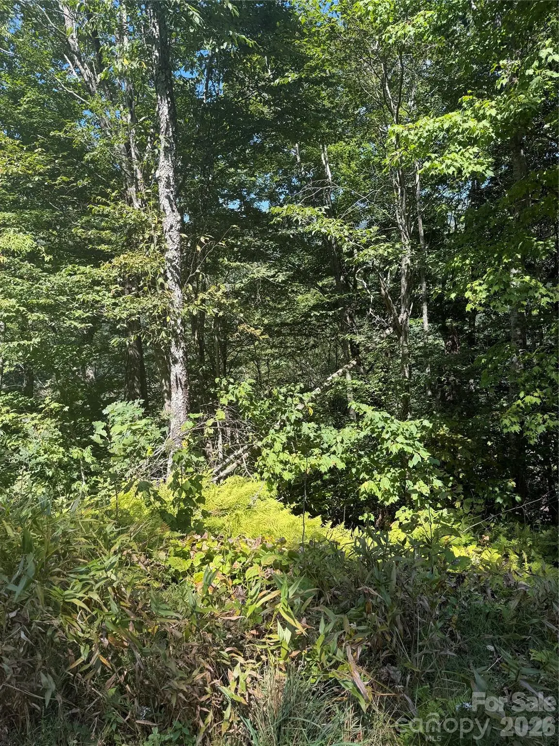 110 Chestnut Lane, Mars Hill, NC 28754 - #1