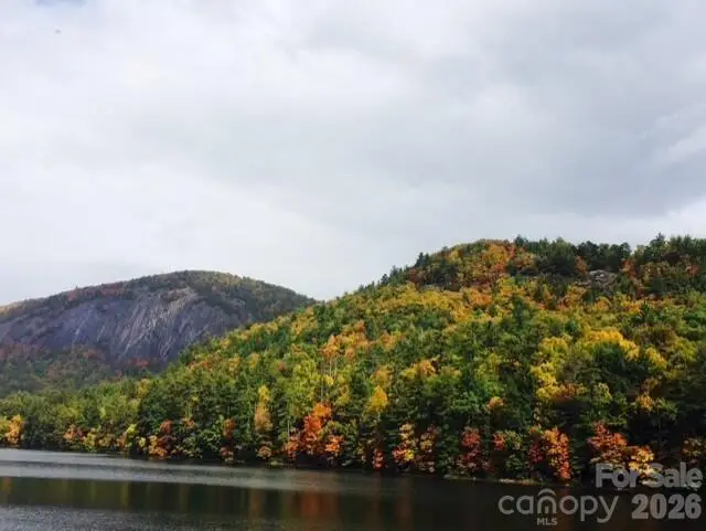 31 Tomba Way, Cashiers, NC 28717 - #2