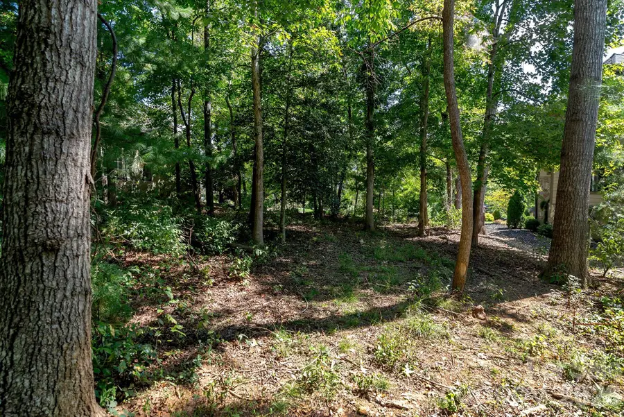 16 Mountain Orchid Way #CWC-CP-085, Arden, NC 28704 - #3
