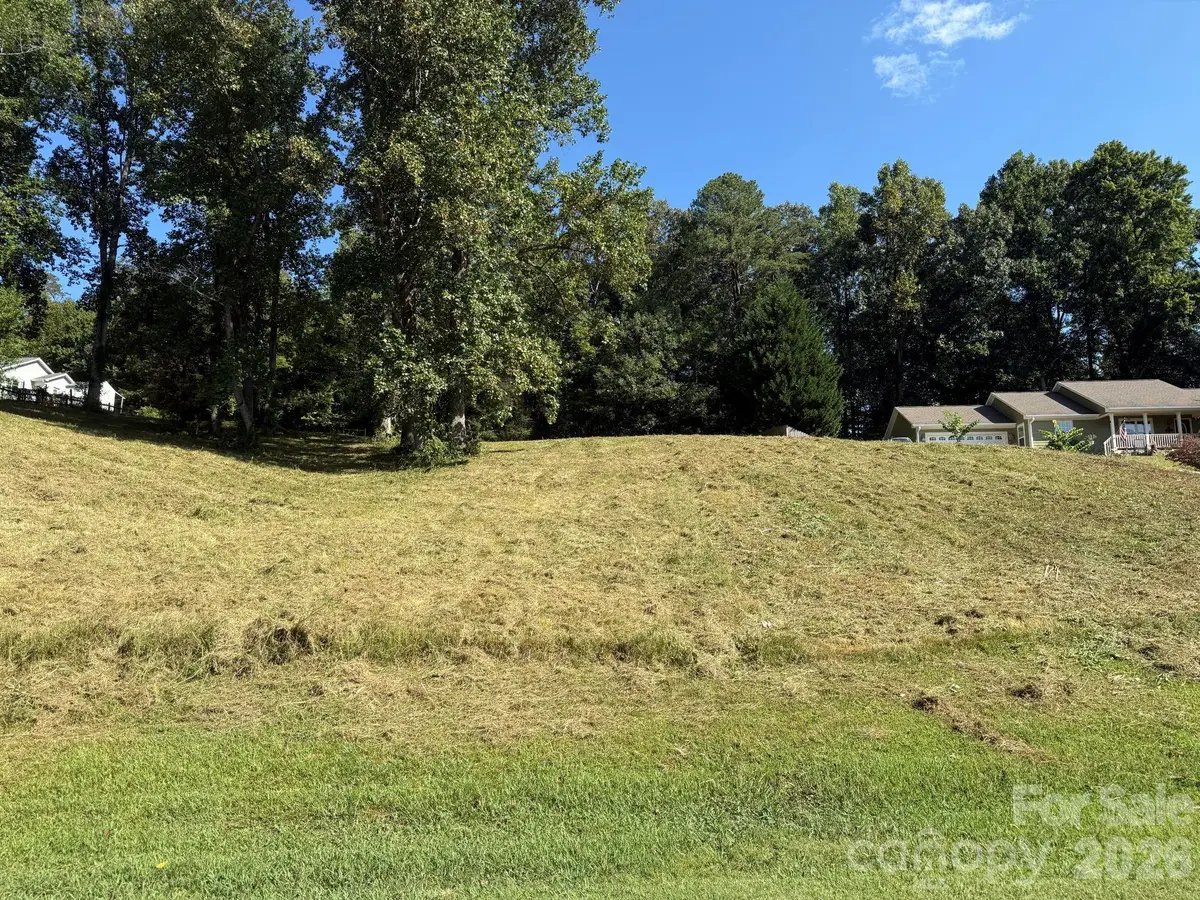 28 Shallow Branch Road, Leicester, NC 28748 - #1
