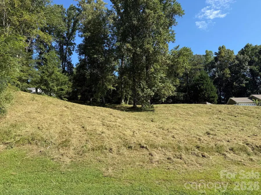 28 Shallow Branch Road, Leicester, NC 28748 - #3