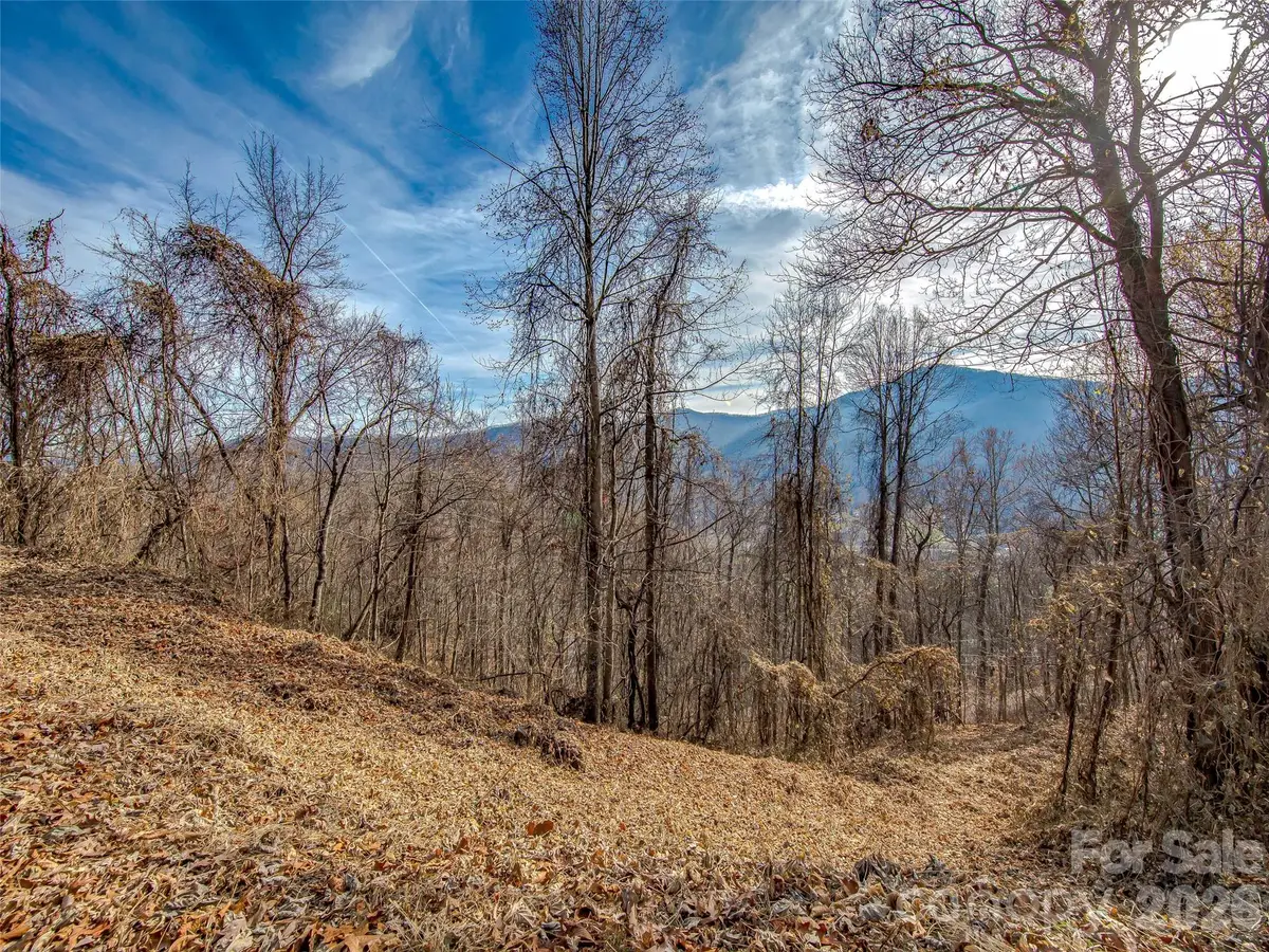 39 Grandview Cliff Heights, Maggie Valley, NC 28751 - #1