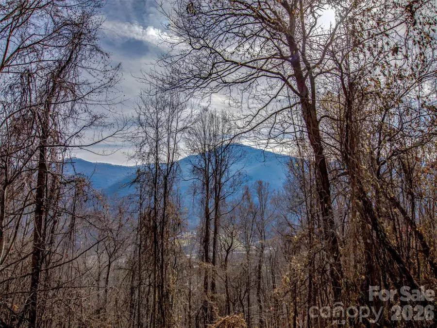 39 Grandview Cliff Heights, Maggie Valley, NC 28751 - #2