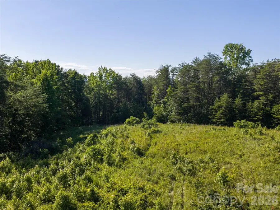 Lot 14 Saddleside Drive, Mill Spring, NC 28756 - #2