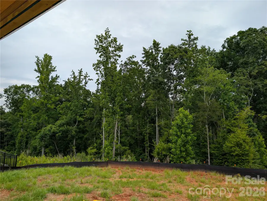 1306 Copper Leaf Drive, Rock Hill, SC 29732 - #2