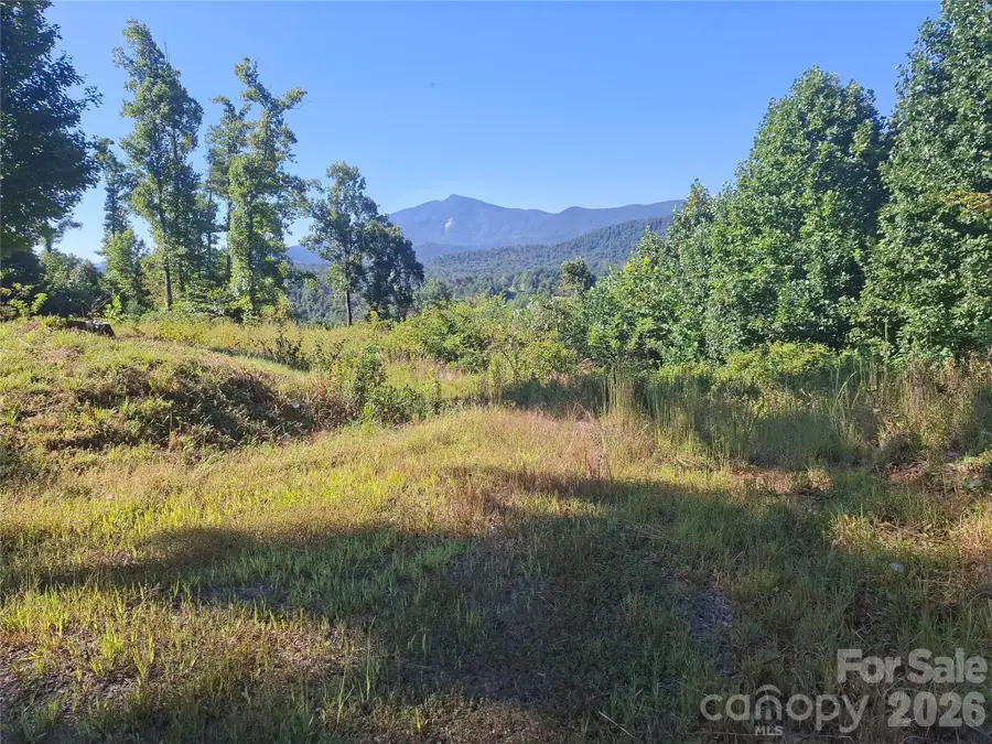 1 River Crest #1, Burnsville, NC 28714 - #2