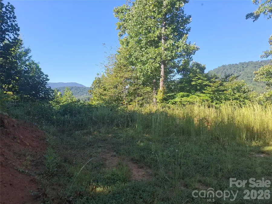 1 River Crest #1, Burnsville, NC 28714 - #3