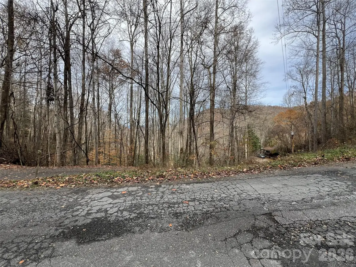 Lot 7 Deer Ridge Road, Bryson City, NC 28713 - #1