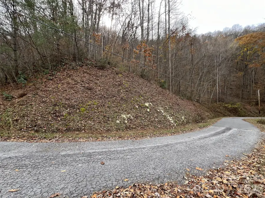 Lot 7 Deer Ridge Road, Bryson City, NC 28713 - #2