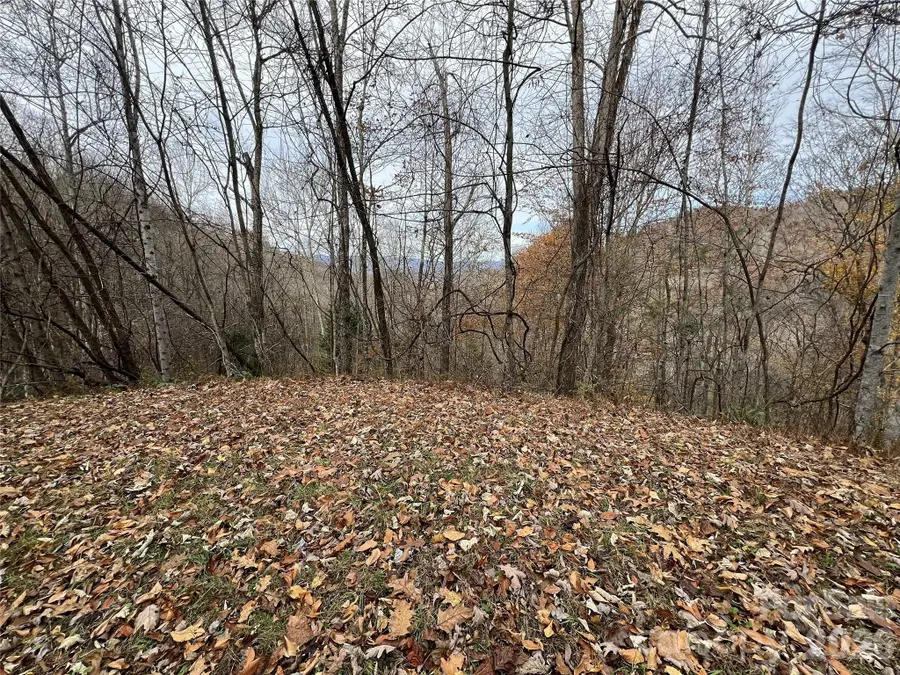 Lot 7 Deer Ridge Road, Bryson City, NC 28713 - #3