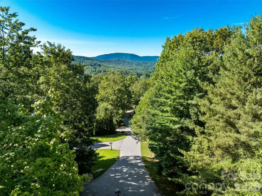 129 Falls Summit Road #385, Hendersonville, NC 28739 - #2