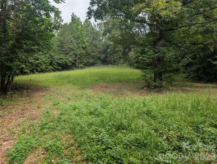 00 Pea Ridge Road, Mill Spring, NC 28756 - #3