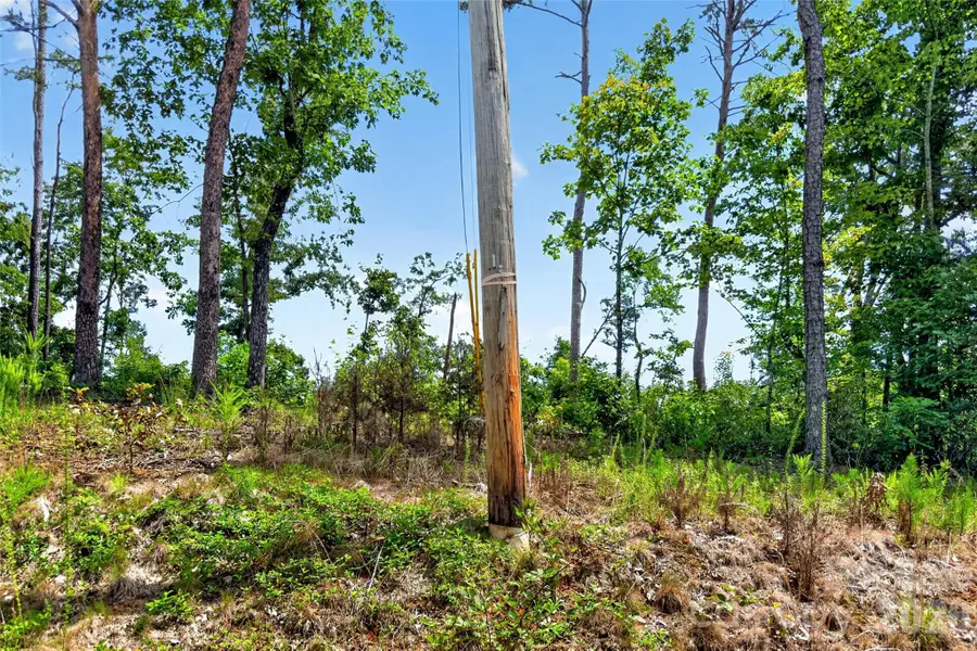 TBD Antioch Road, Lake Lure, NC 28746 - #2