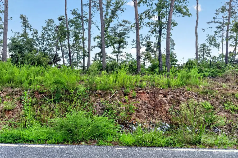 TBD Antioch Road, Lake Lure, NC 28746 - #3